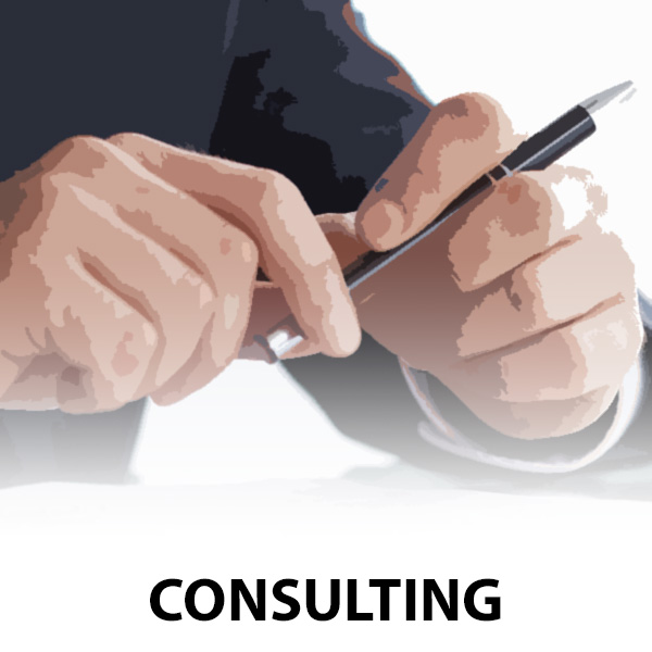 Consulting