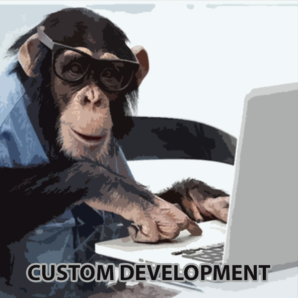 Custom Development
