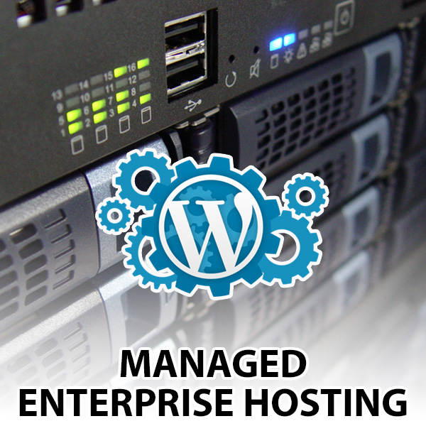 Managed Enterprise Hosting