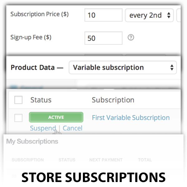 Store Subscriptions